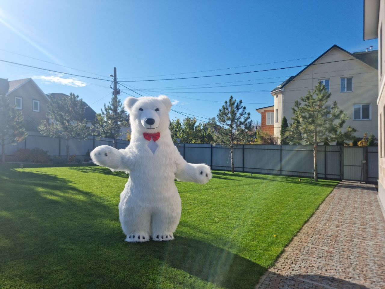 Mishka201
