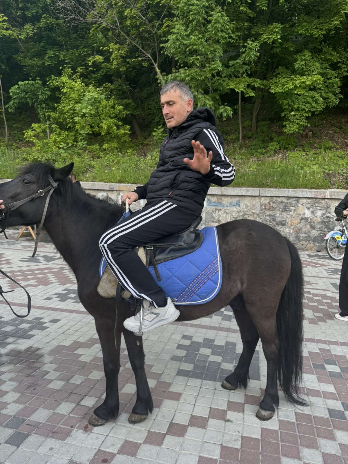 Пони